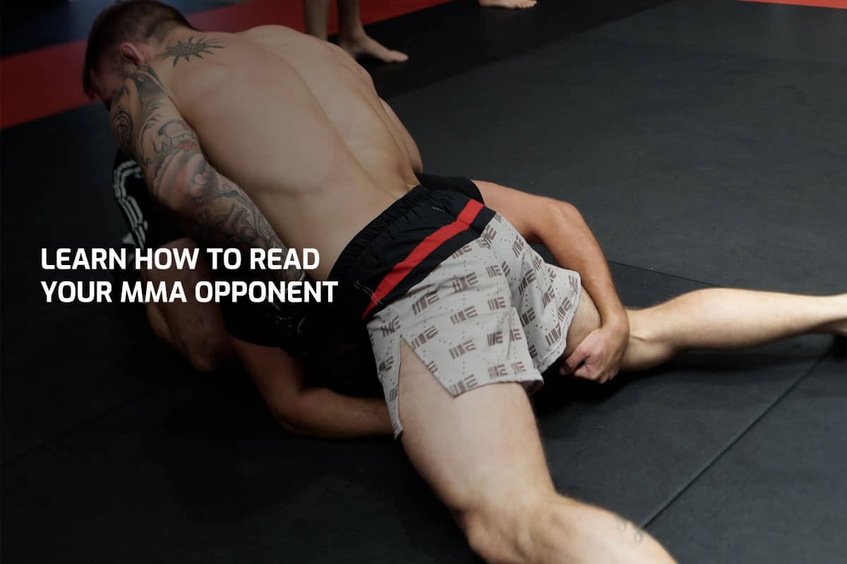 Learn How To Read Your MMA Opponent